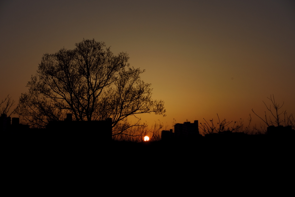 夕景②
