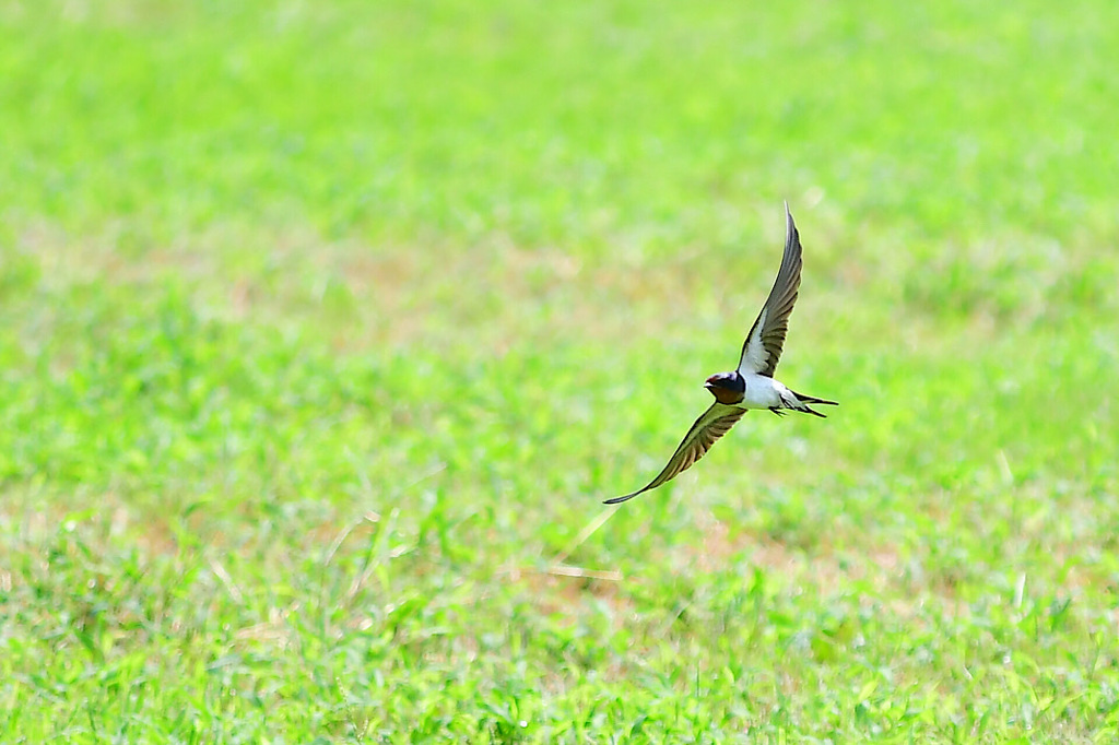 君がいて助かった