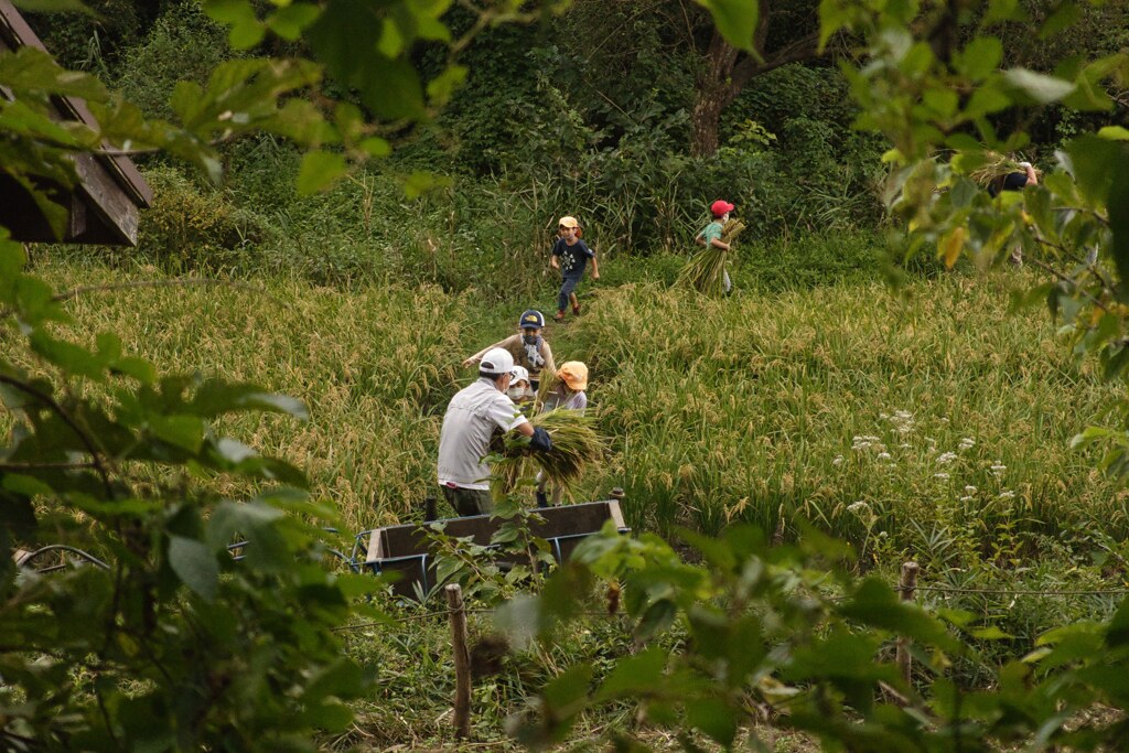 皆んなえらいね