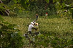 皆んなえらいね