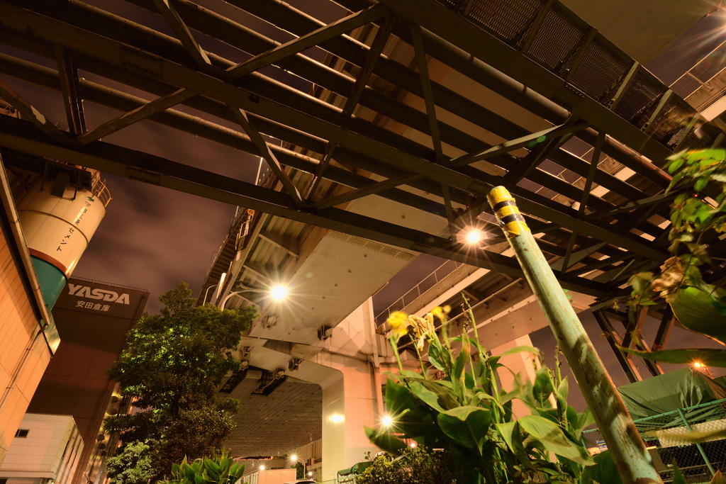 もうやけっぱちです