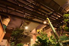 もうやけっぱちです