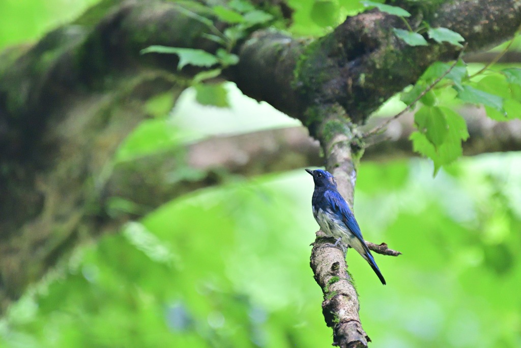 昨年の今頃は⑨