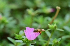 探しものは何ですか?