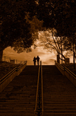 Steps