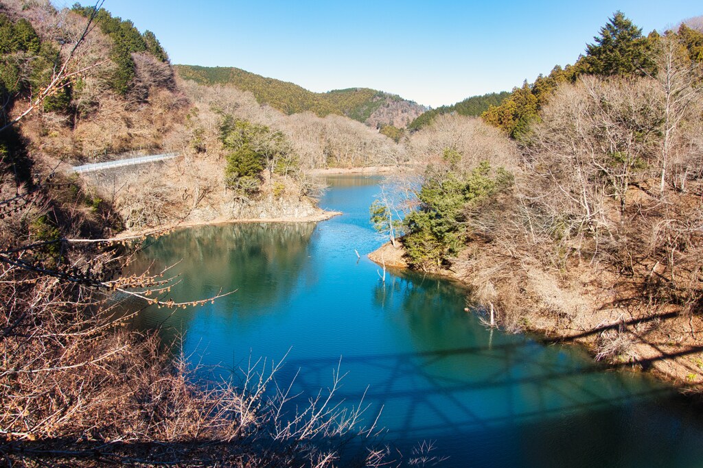 今年の元旦は①