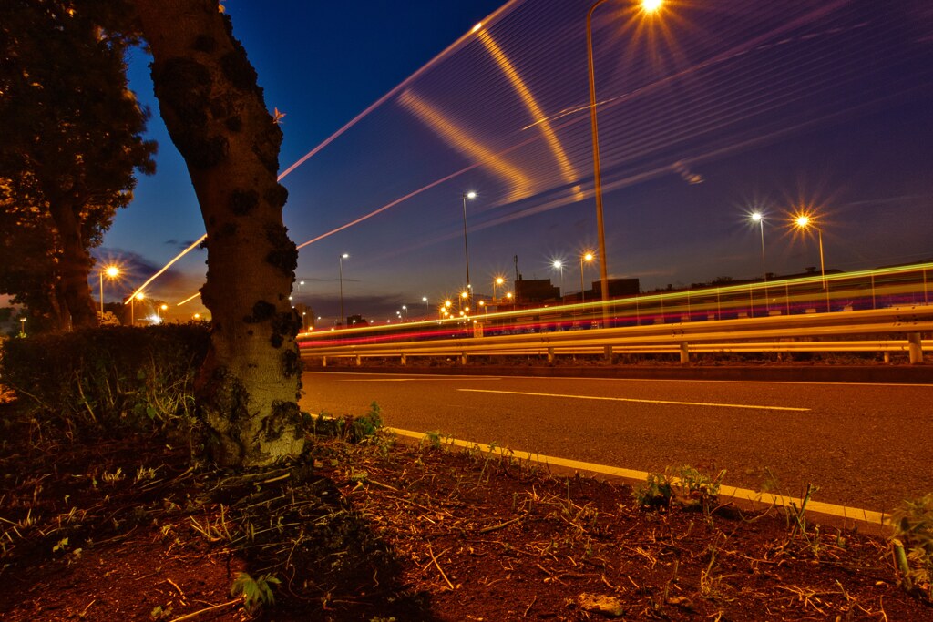 ホタルがいないので