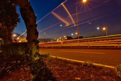 ホタルがいないので