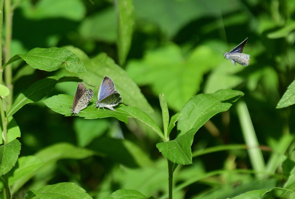 ちょっと待ったー！