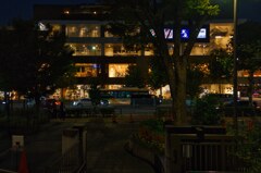 誰にも見られず②