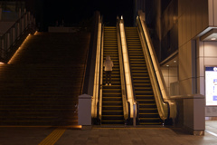 反射する夜の街310