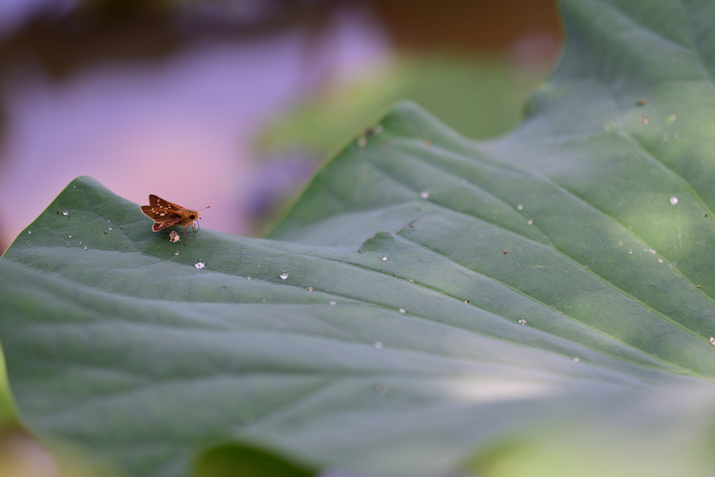 昨年の今頃は⑦