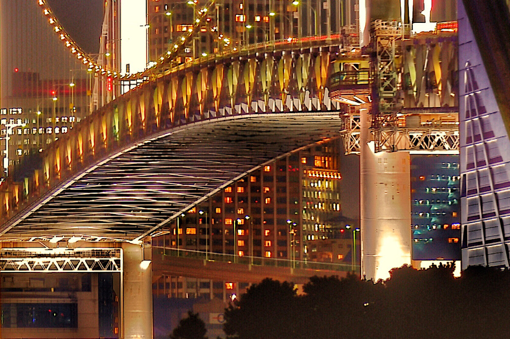 野鳥ならぬ夜景撮影に