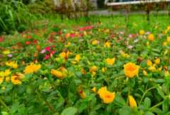 配分誤りました∩^ω^∩