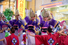 三鷹阿波踊り④