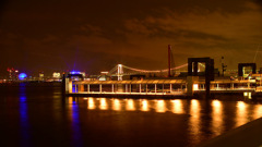 鳥の写真じゃ無いじゃん②