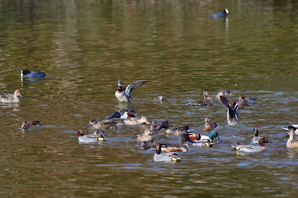 自習の時間、先生がいなくなると③