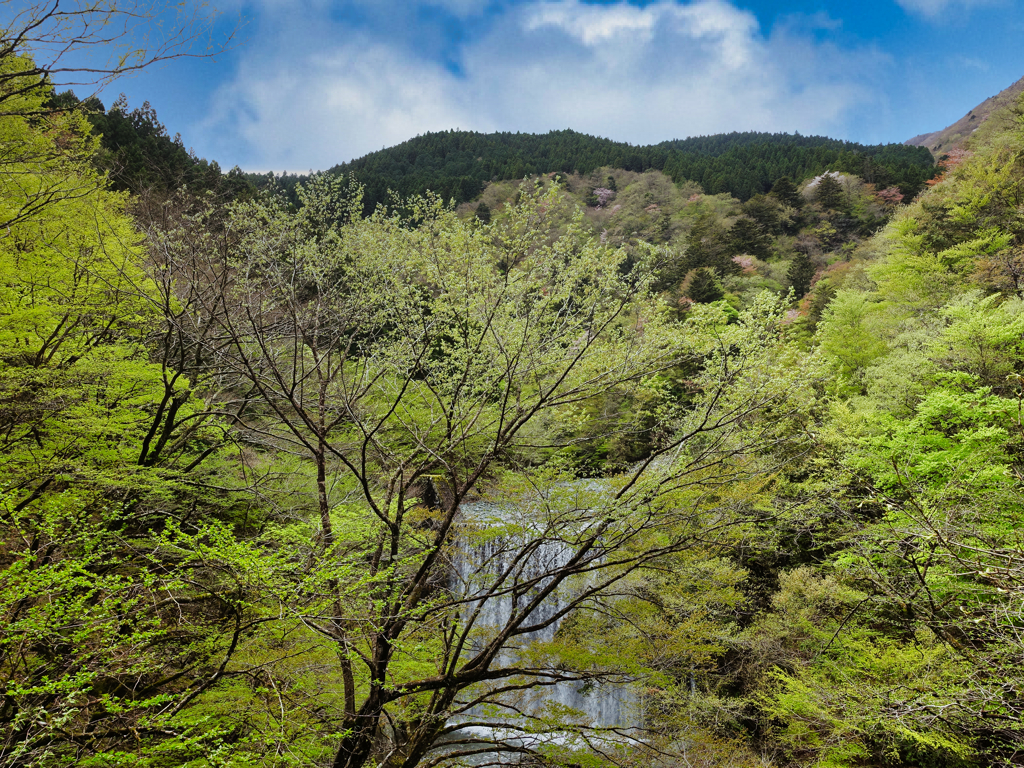 探鳥のついでに撮った風景②
