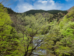 探鳥のついでに撮った風景②