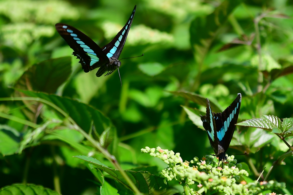 至福のひととき⑥