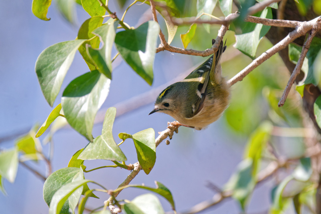 ほんとに小さいなぁ