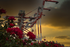 スッピンは見せられません③