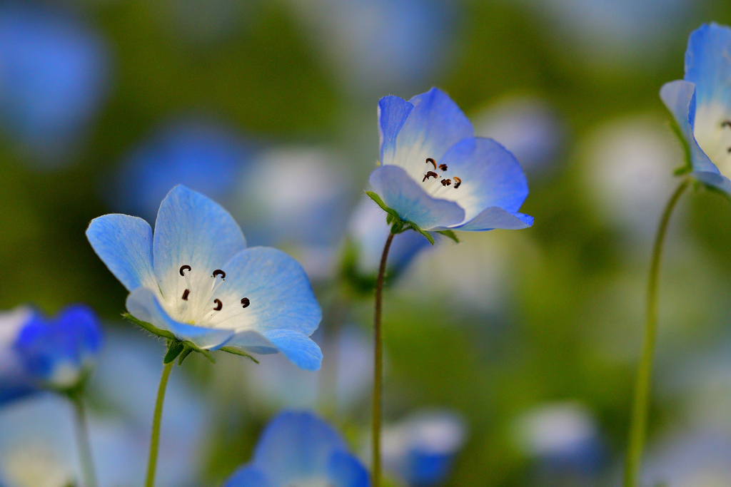 とてもとても小さな存在