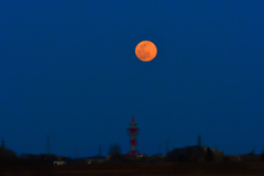 今宵の月のように
