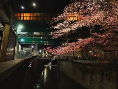 反射する夜の街105