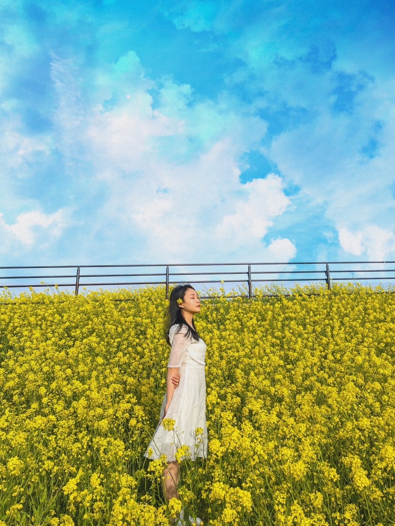 ハノイ通信　菜の花