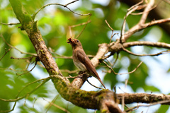 昨年の今頃は⑧