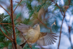 一瞬目の前に来てくれた
