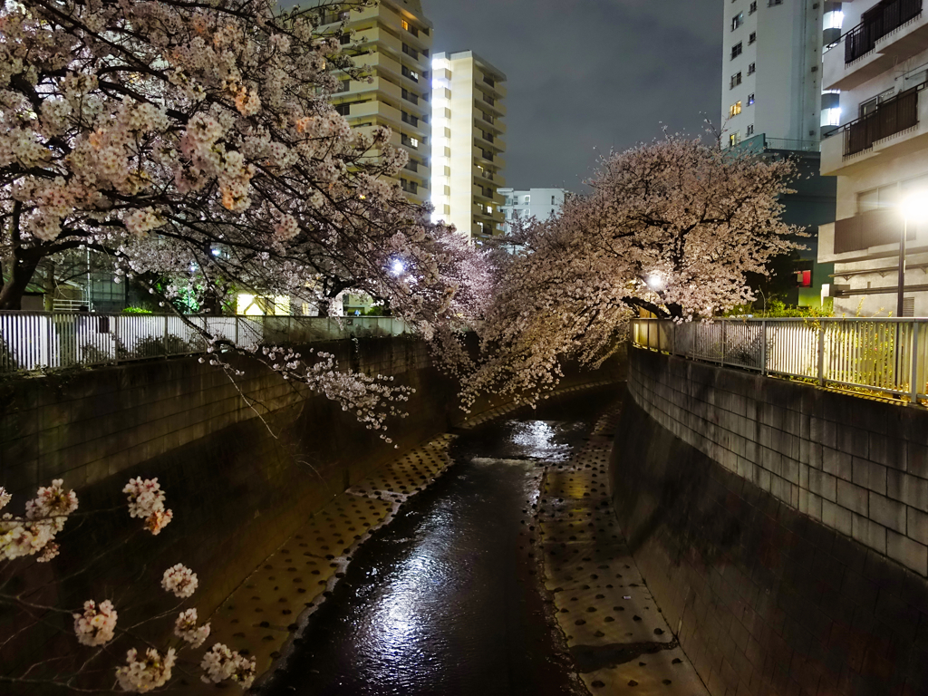 反射する夜の街103