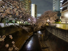 反射する夜の街103
