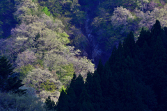山の風景 山の風景