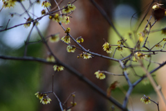 近所の公園にて①