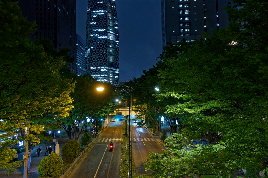 反射する夜の街202