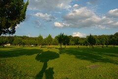 ニョキニョキ感が好き