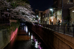 反射する夜の街185