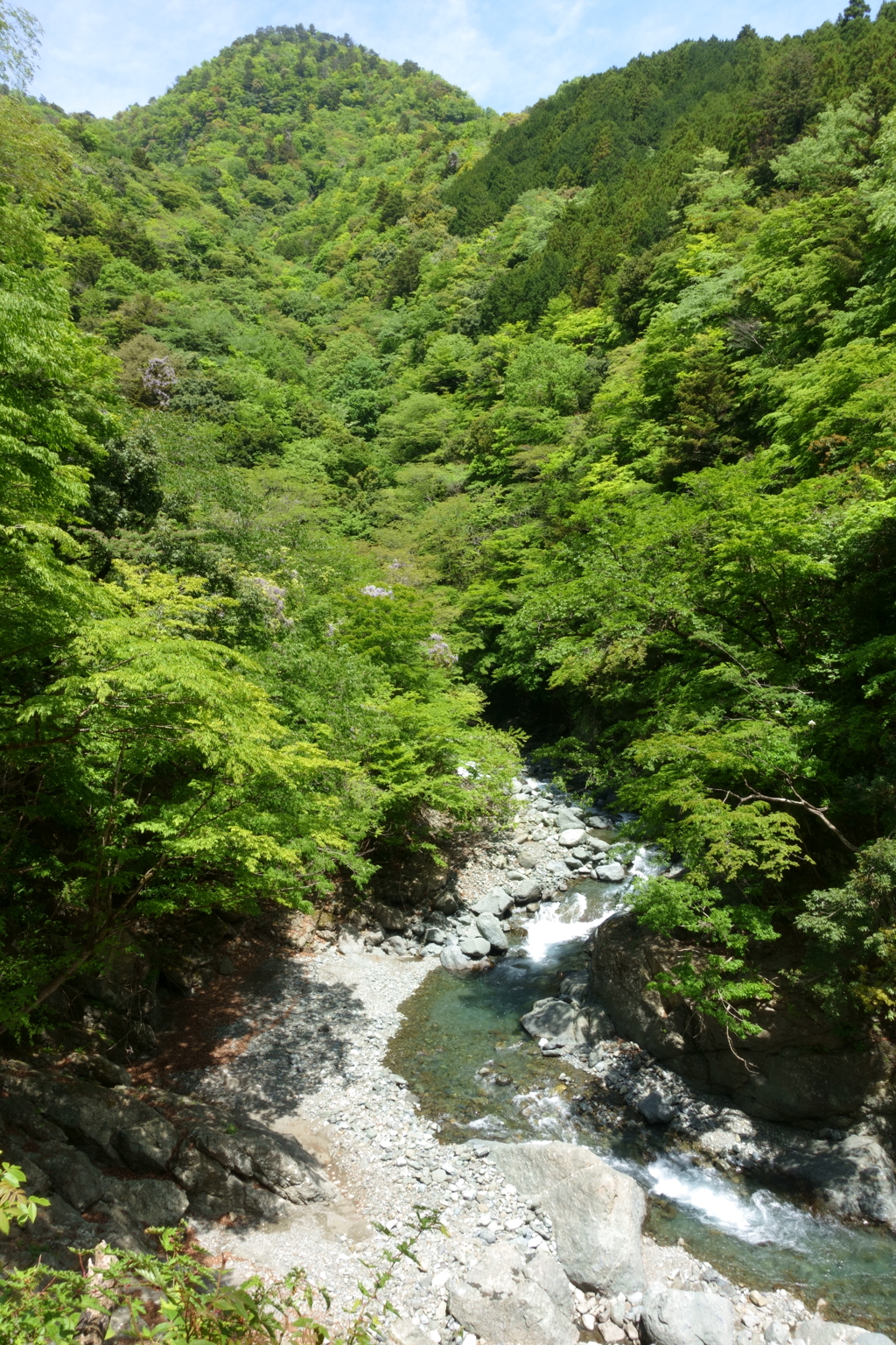 なんかいそうな期待