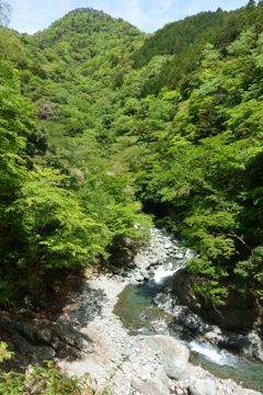 なんかいそうな期待