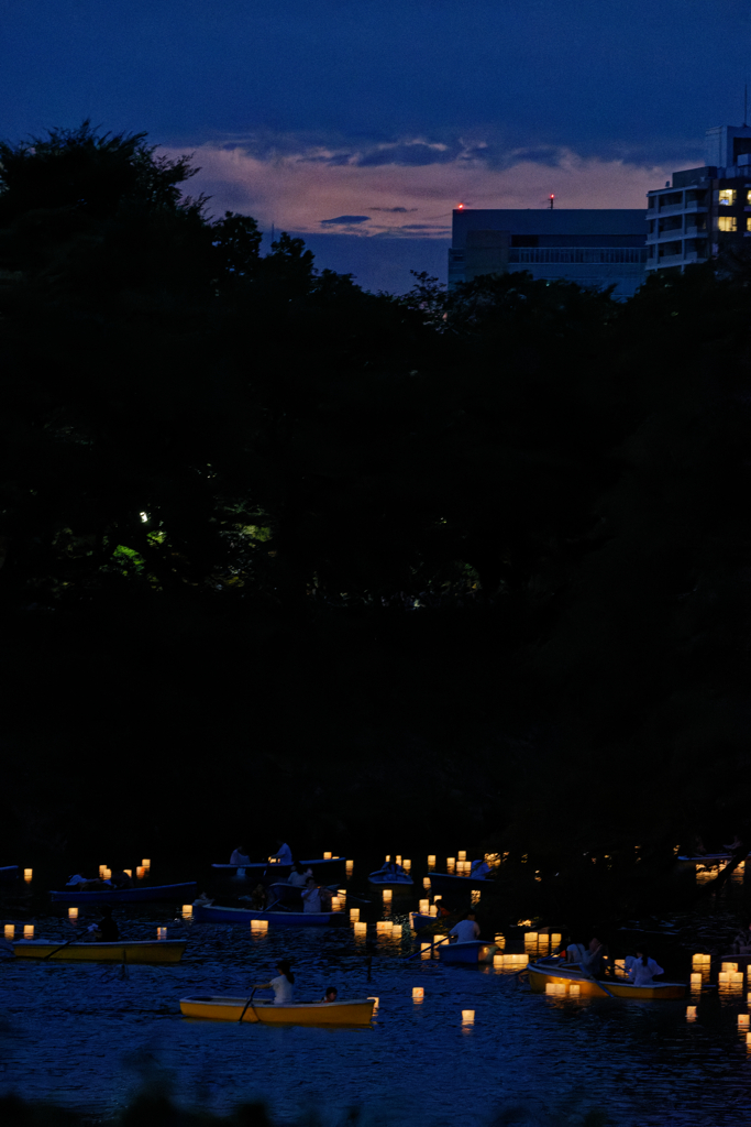 灯ろう流し〜千鳥ヶ淵②