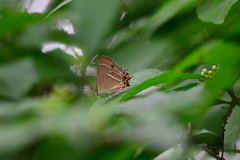 近くの公園で