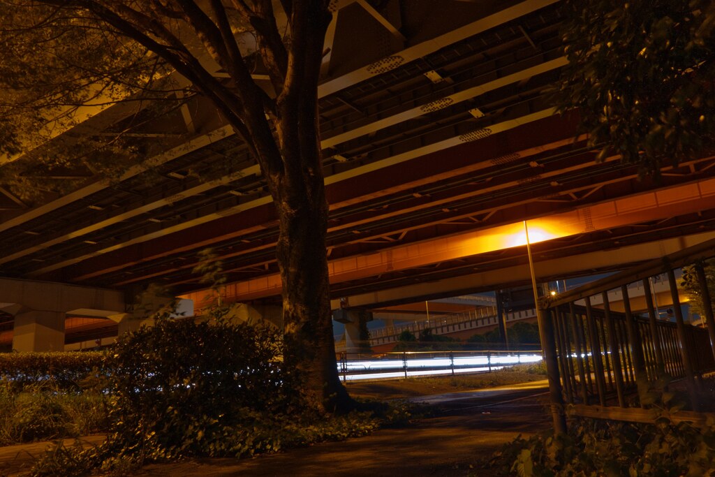 交通量調査？③