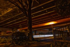 交通量調査？③