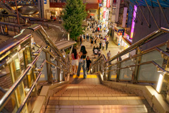反射する夜の街402
