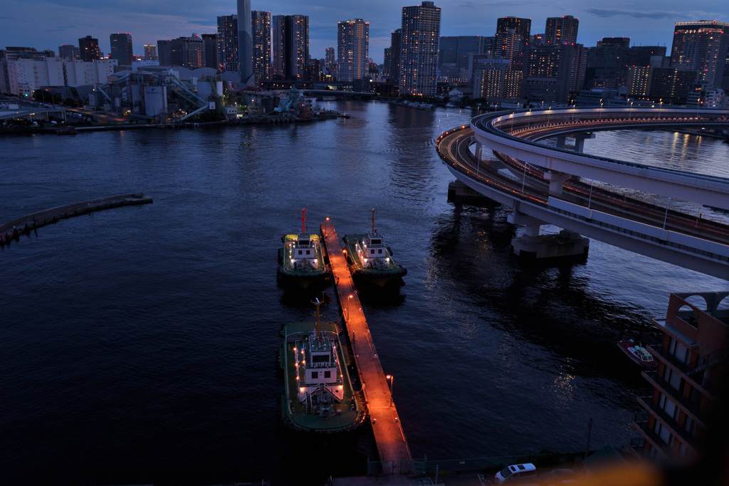 レインボーブリッジ遊歩道より