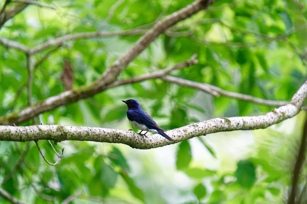 今シーズン最後にしよう②