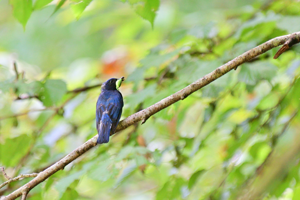 昨年の今頃は⑩