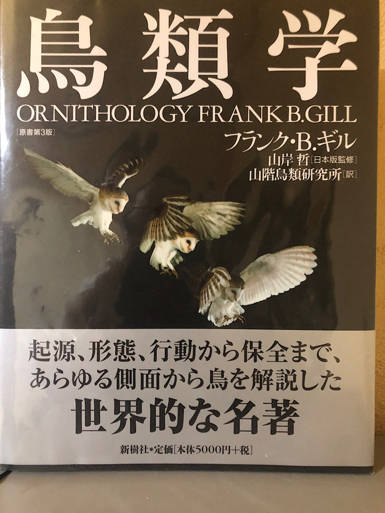 正月休みの過ごし方⑤